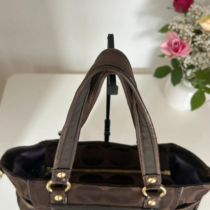 Coach Poppy Signature Canvas Tote Bag F0920-14364