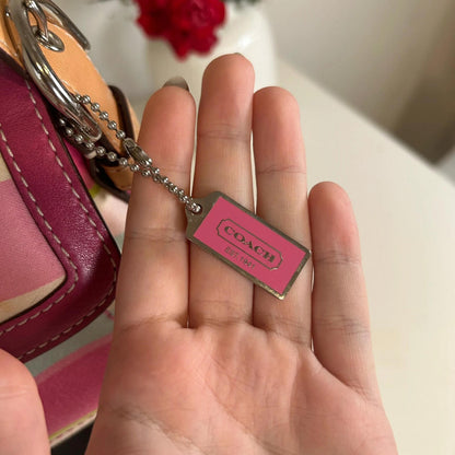 Rare Coach Pastel Stripe Soho Sateen & Leather Shoulder Bag L043-1887