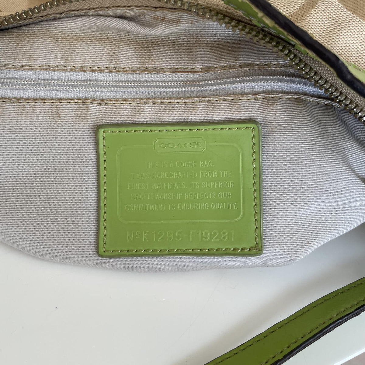 Coach Signature Green Stripe Demi Hobo Shoulder Bag K1295-F19281
