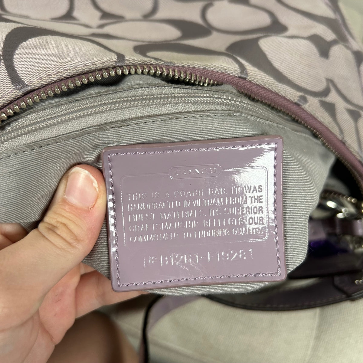 Coach Lilac Convertible Large Signature Stripe Hobo Shoulder Bag B1261-F19281